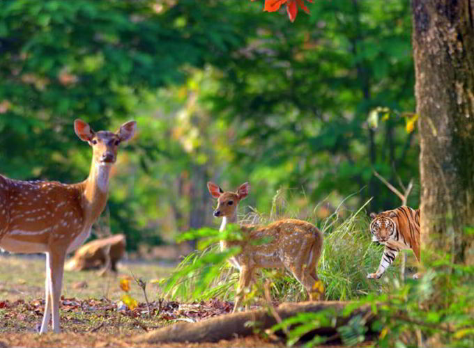 Uttarakhand Delights
