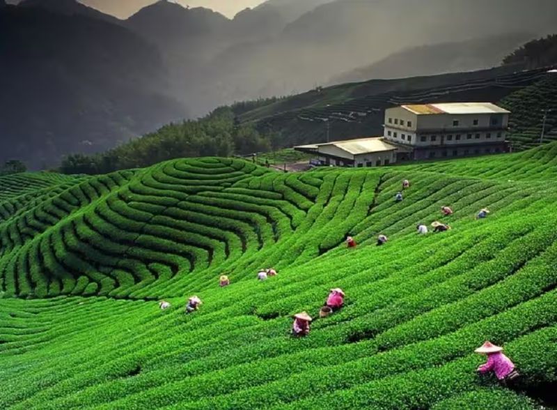 Majestic Uttarakhand