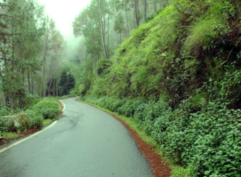 Uttarakhand Tranquil Trail Package