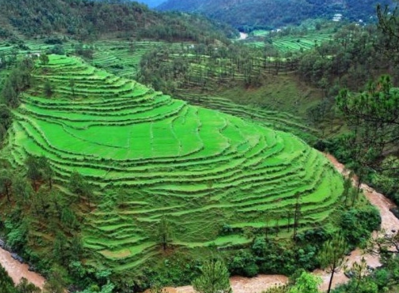 Uttarakhand Serenity and Wildlife Escape