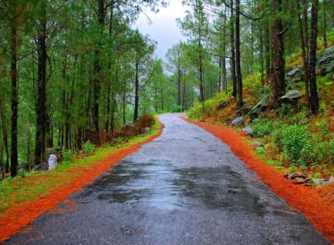 Enchanting Uttarakhand Getaway