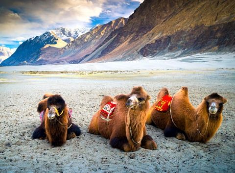 Leh Ladakh Blissful Journey