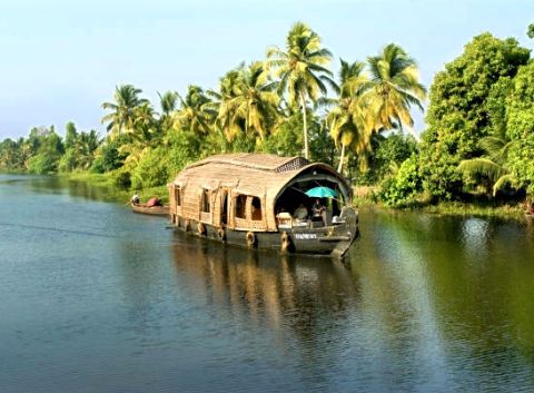 Kaleidoscopic Kerala: A Symphony of Nature, Culture, and Tranquility