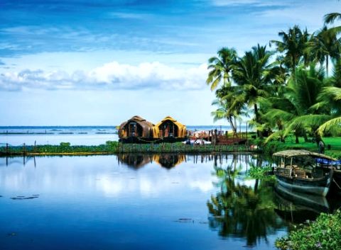 Kerala Odyssey: From Misty Mountains to Tranquil Backwaters